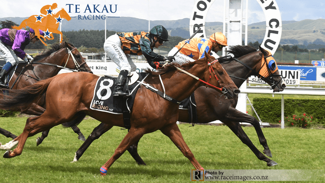 Weaponry on his way to winning on Saturday - Photo: Race Images via Te Akau Racing