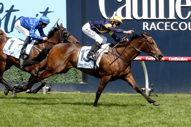 Tofane is chasing a Group One win - Photo: Darryl Sherer