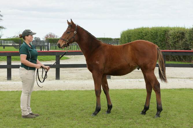 Oceanography as a weanling. Photo: Trish Dunell