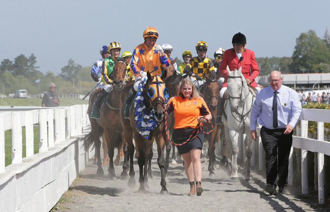 In A Twinkling returns after his Group Three win - Trish Dunell