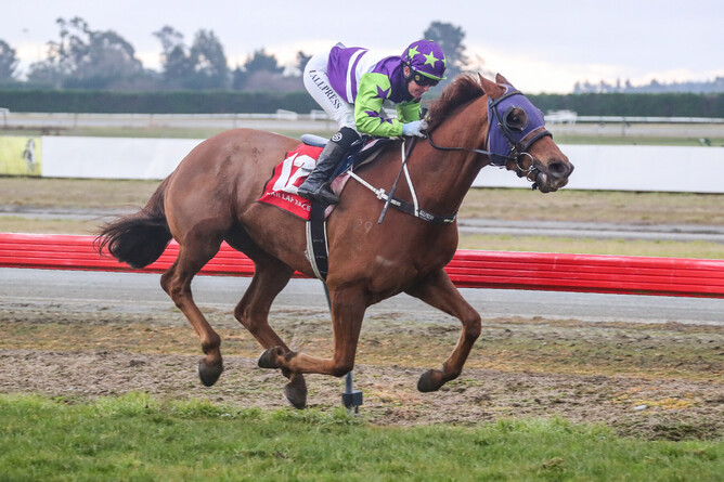 Hatrick Boys charge home on the rail to score fresh-up at Timaru Photo: Race Images South
