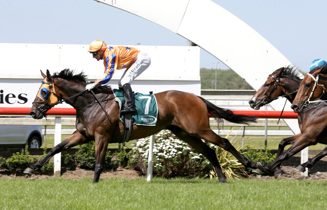 Opie Bosson guides In A Twinkling to a comfortable victory in the Gr.3 Ssangyong Counties Cup (2100m) - Photo credit: Trish Dunell