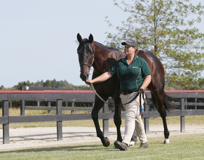 Pike to unleash emerging star at Ellerslie