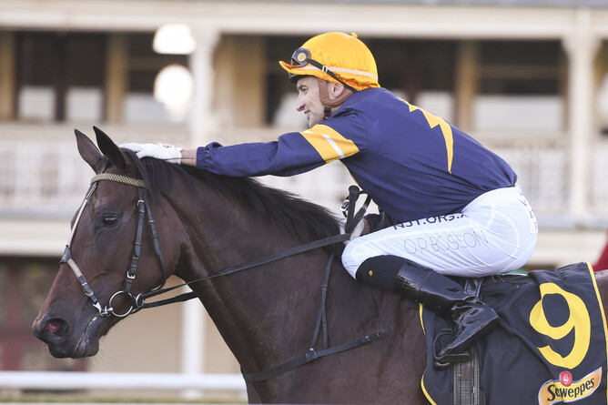 Jockey Opie Bosson gives Tofane a celebratory pat after winning the Gr.1 All Aged Stakes (1400m). Photo: Bradleyphotos.com.au via NZ Racing Desk