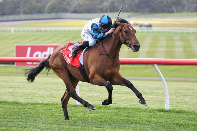 Oceanography winning at Sandown on Wednesday. Photo: Pat Scala (Racing Photos)