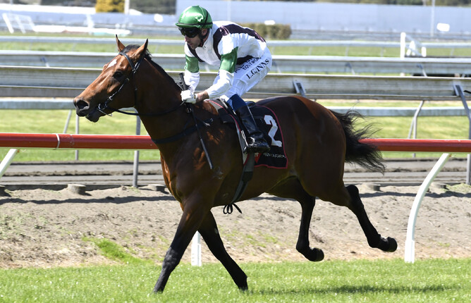 Not An Option won his 800m trial at Cambridge on Tuesday. Photo: Race Images