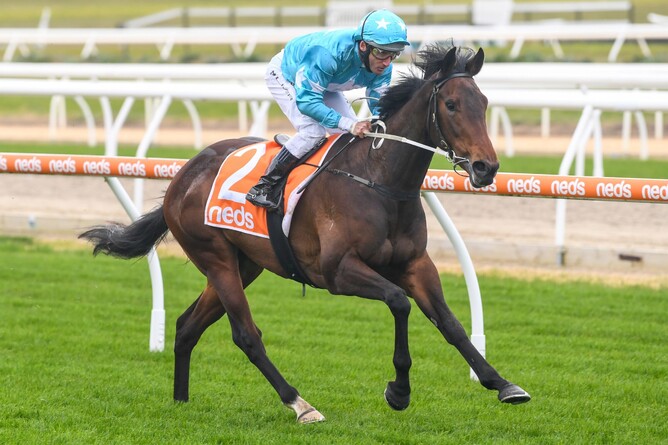 Annavisto will contest the Gr.2 Thousand Guineas Prelude (1400m) at Caulfield on Saturday. Photo: Natasha Morello (Racing Photos)