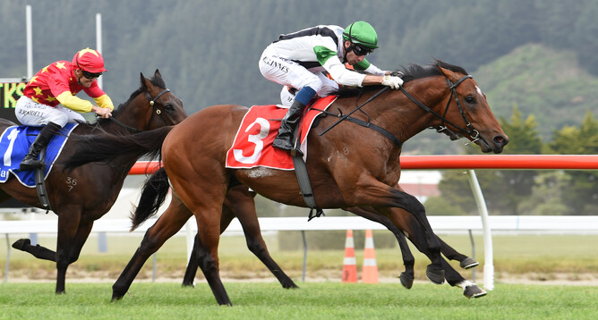 Not An Option wins the Gr.2 Wakefield Stakes (1100m) at Trentham Photo credit: Race Images