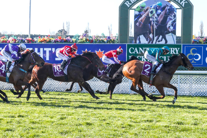 He Kin Fly charges home at Riccarton to register his tenth career victory Photo: Race Images South