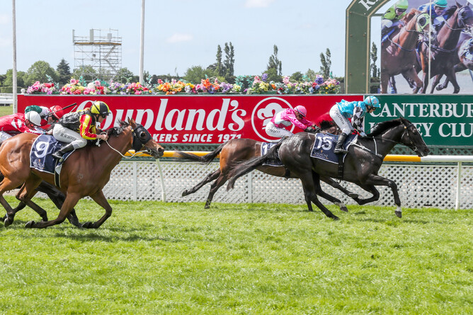 Aimee&rsquo;s Jewel winning the Gr.3 Valachi Downs Canterbury Breeders&rsquo; Stakes (1400m). Photo: Race Images South
